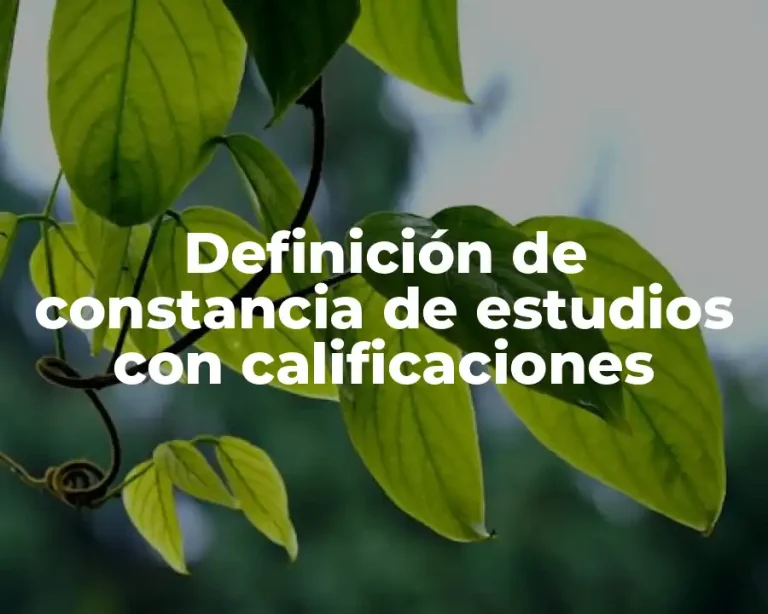 Definición de constancia de estudios con calificaciones