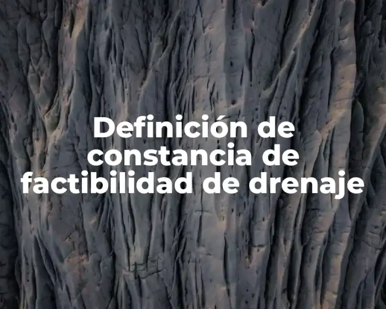 Definición de constancia de factibilidad de drenaje