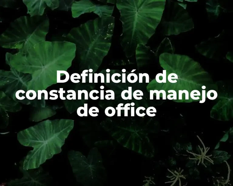 Definición de constancia de manejo de office