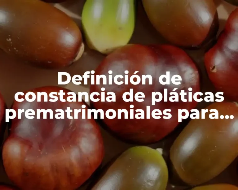 Definición de constancia de pláticas prematrimoniales para editar