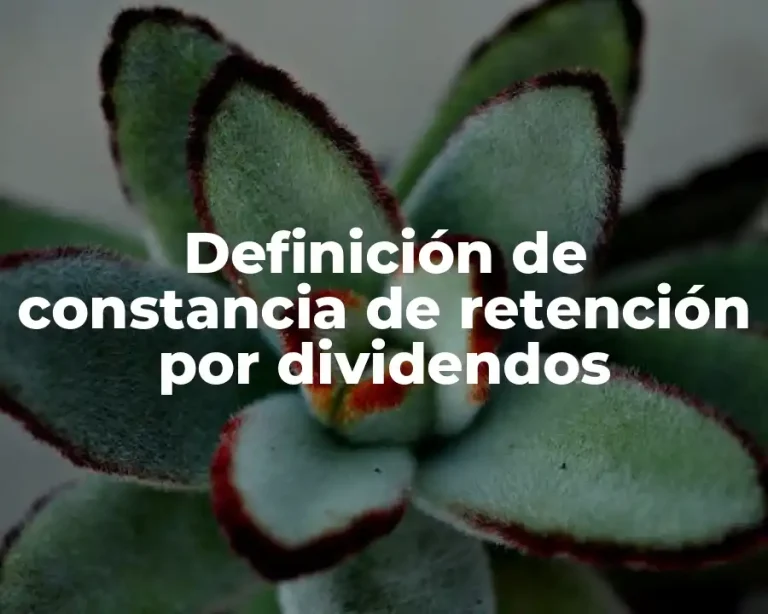 Definición de constancia de retención por dividendos