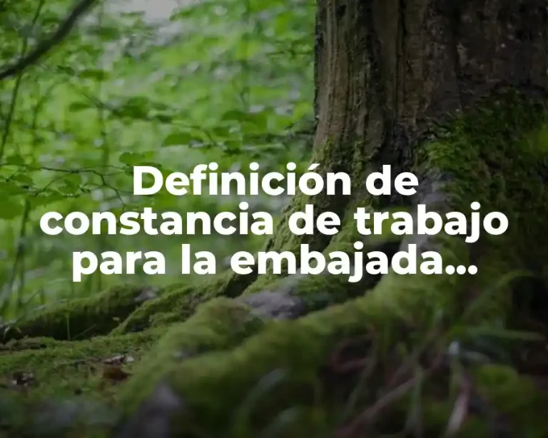 Definición de constancia de trabajo para la embajada americana