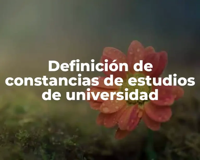 Definición de constancias de estudios de universidad