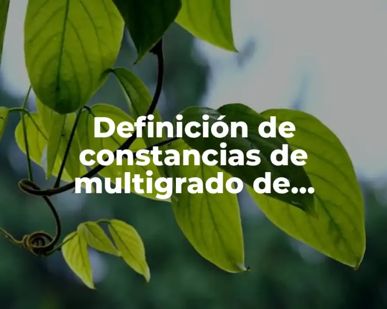 Definición de constancias de multigrado de educación básica