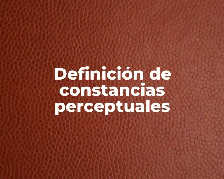 Definición de constancias perceptuales