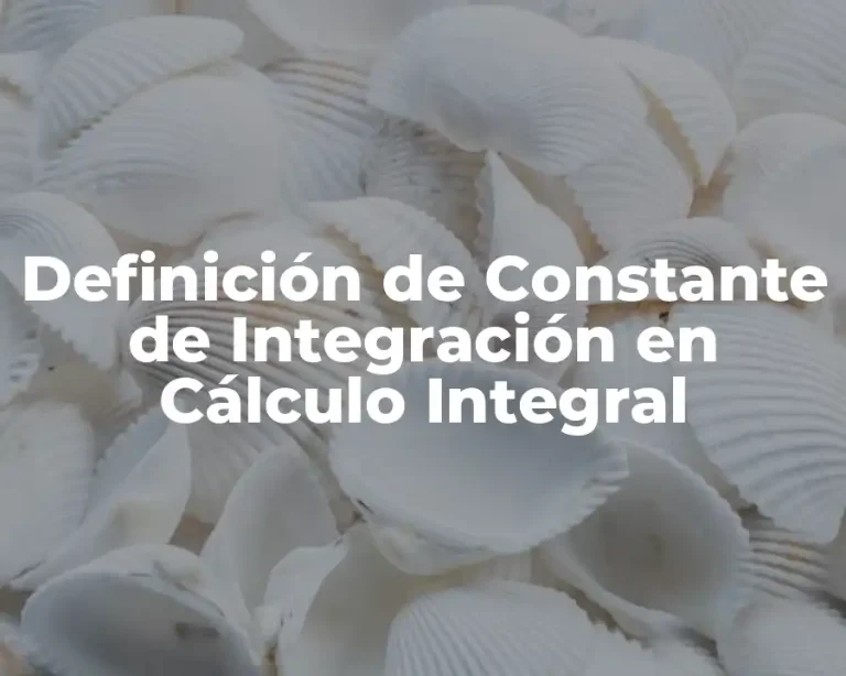 Definición de Constante de Integración en Cálculo Integral