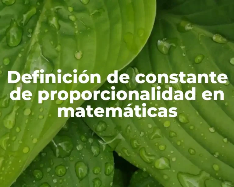 Definición de constante de proporcionalidad en matemáticas