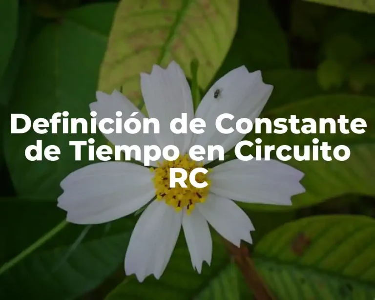 Definición de Constante de Tiempo en Circuito RC