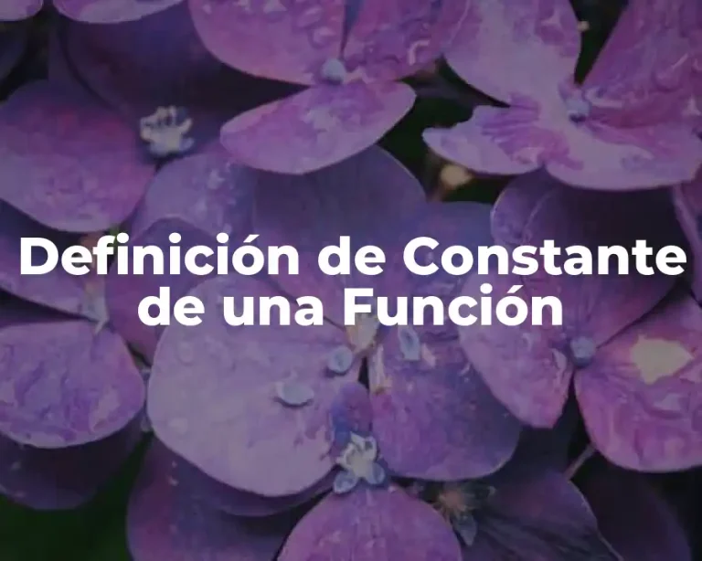 Definición de Constante de una Función