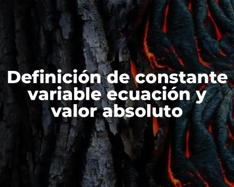 Definición de constante variable ecuación y valor absoluto