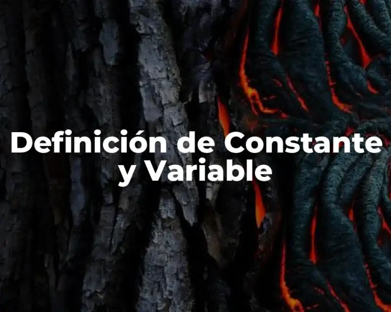 Definición de Constante y Variable