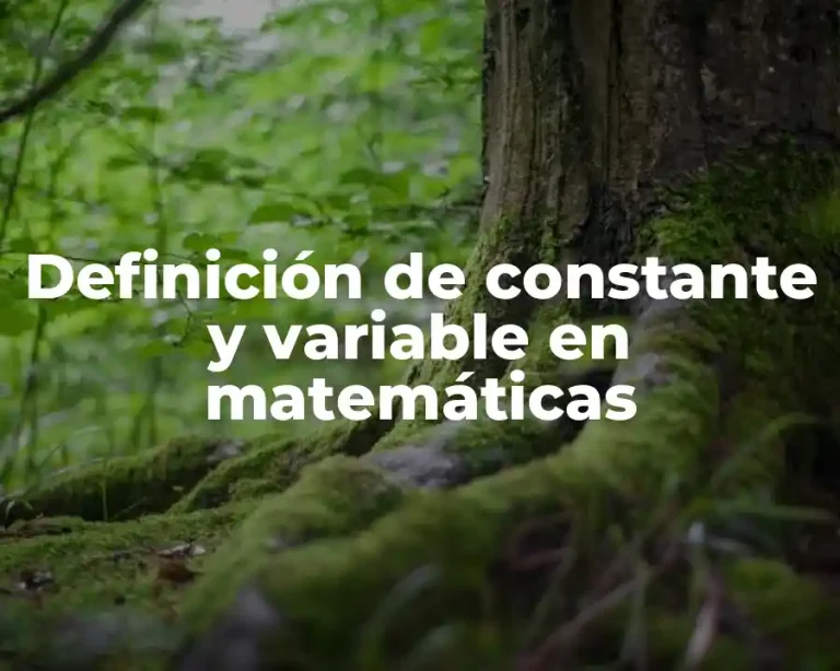 Definición de constante y variable en matemáticas