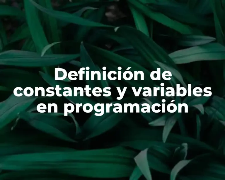 Definición de constantes y variables en programación