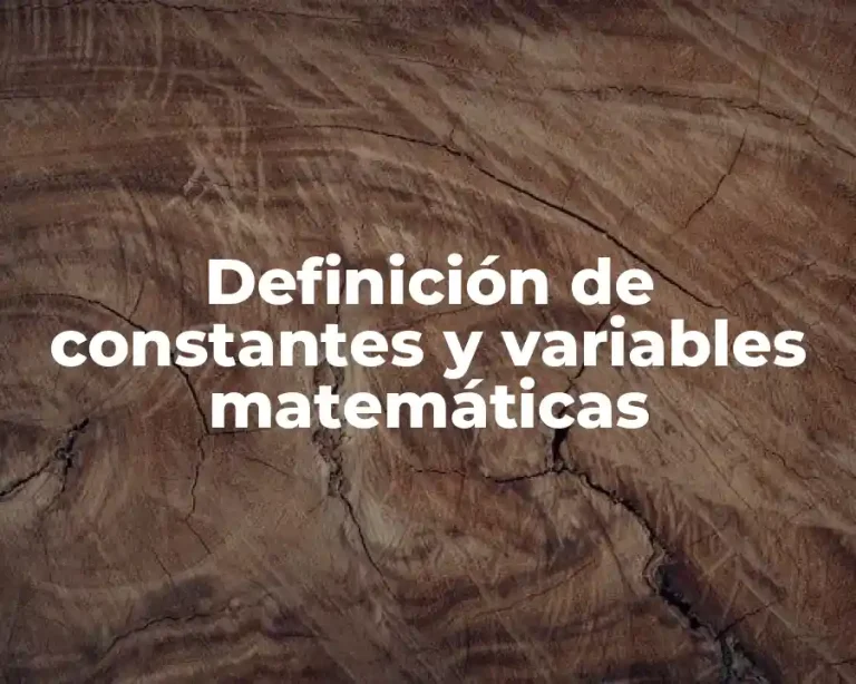 Definición de constantes y variables matemáticas