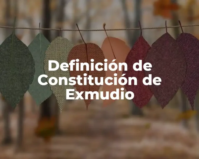 Definición de Constitución de Exmudio
