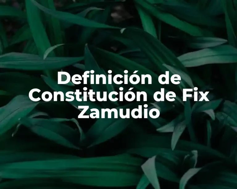 Definición de Constitución de Fix Zamudio