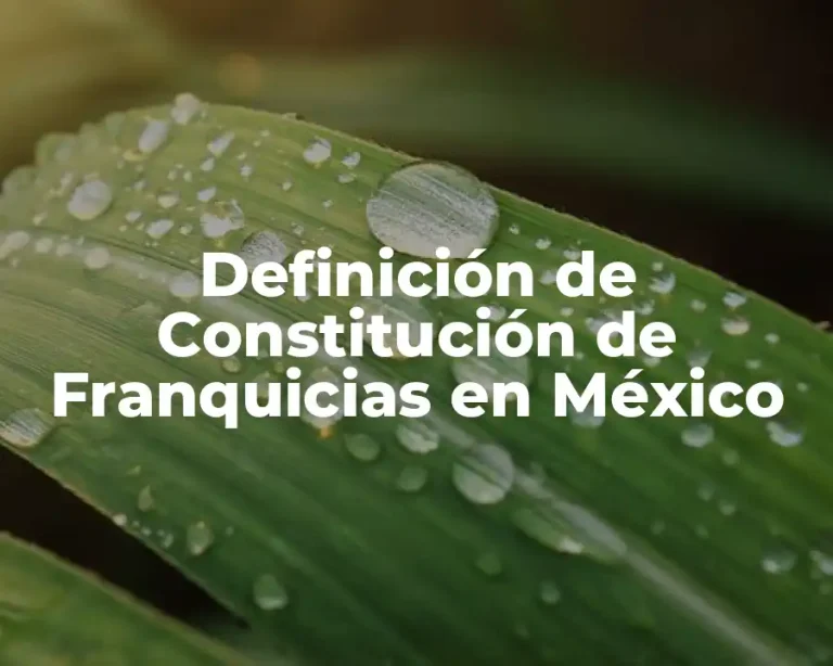 Definición de Constitución de Franquicias en México