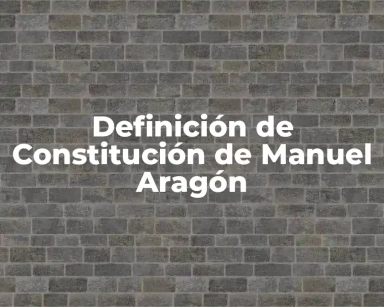Definición de Constitución de Manuel Aragón