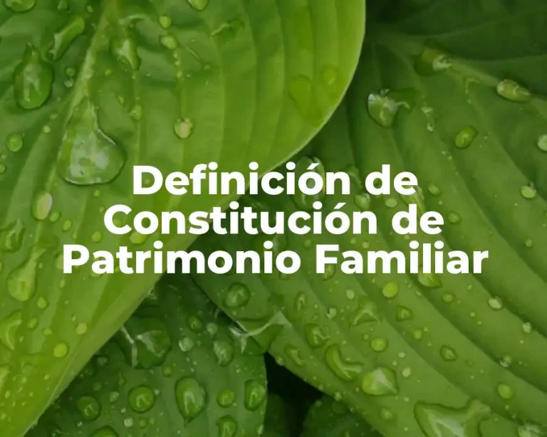 Definición de Constitución de Patrimonio Familiar