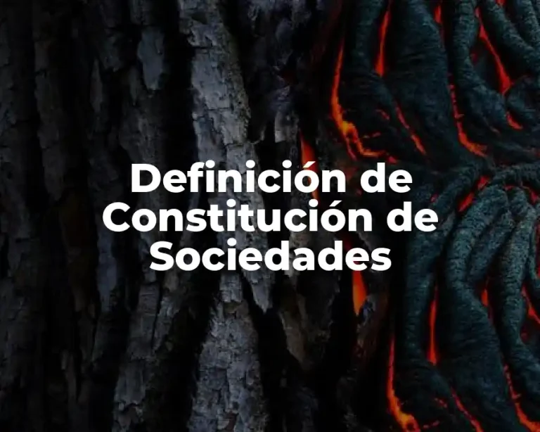 Definición de Constitución de Sociedades