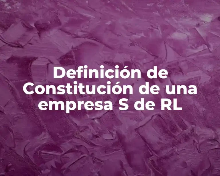 Definición de Constitución de una empresa S de RL