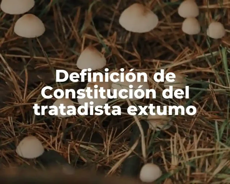 Definición de Constitución del tratadista extumo