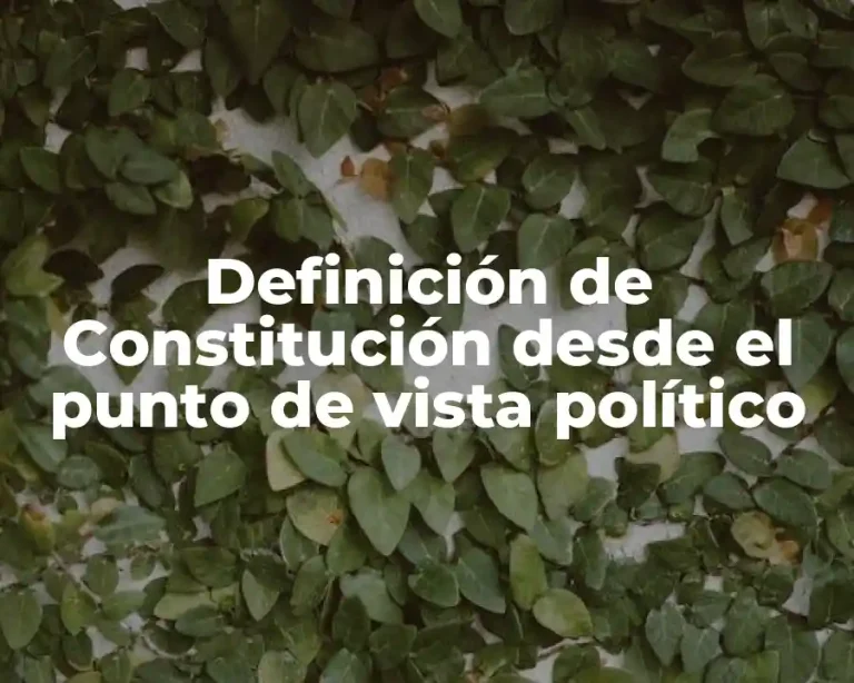 Definición de Constitución desde el punto de vista político