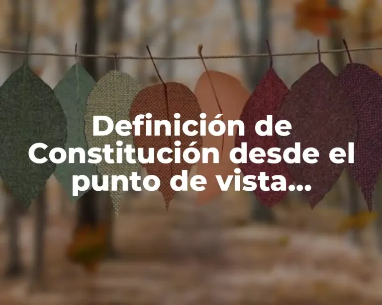 Definición de Constitución desde el punto de vista socioeconómico