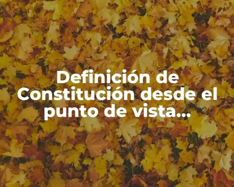 Definición de Constitución desde el punto de vista sociológico
