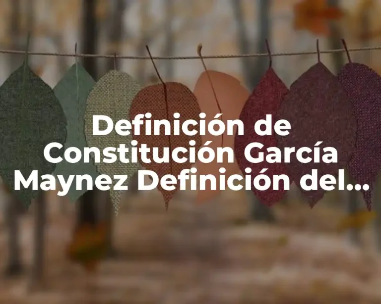 Definición de Constitución García Maynez Definición del derecho