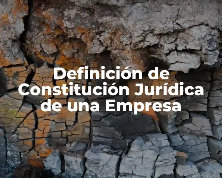 Definición de Constitución Jurídica de una Empresa