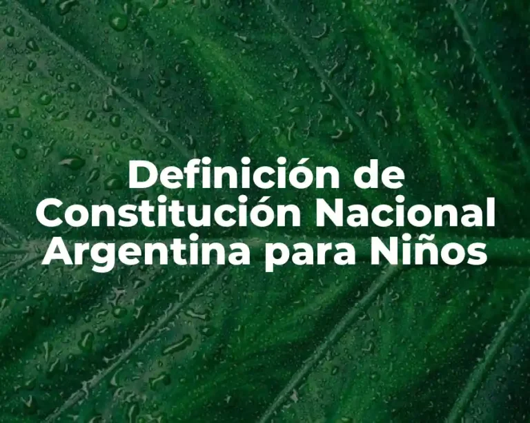 Definición de Constitución Nacional Argentina para Niños