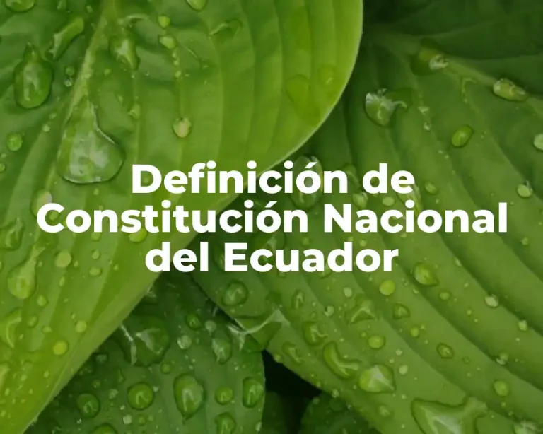 Definición de Constitución Nacional del Ecuador