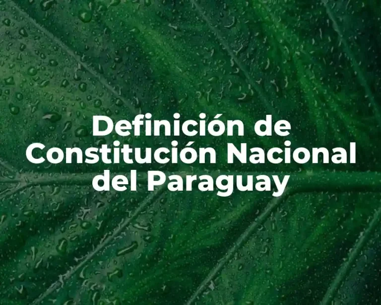 Definición de Constitución Nacional del Paraguay