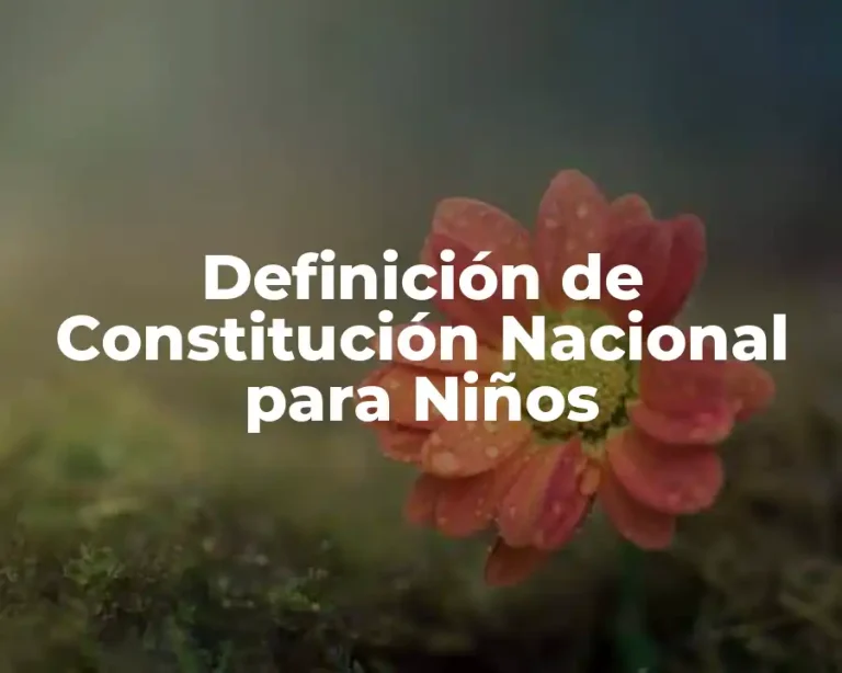 Definición de Constitución Nacional para Niños