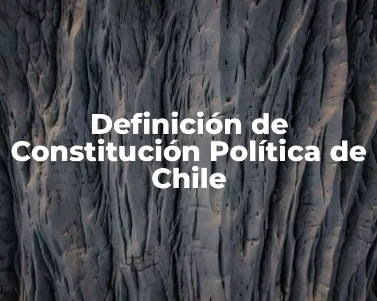 Definición de Constitución Política de Chile