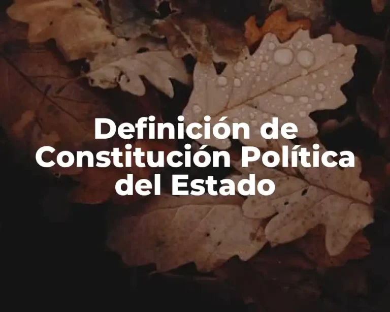 Definición de Constitución Política del Estado