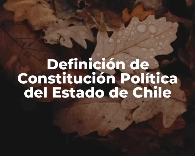 Definición de Constitución Política del Estado de Chile