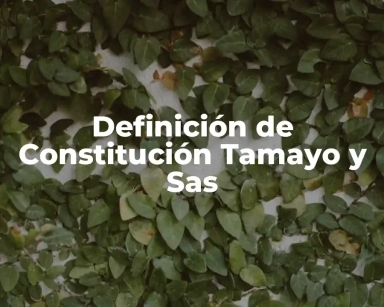 Definición de Constitución Tamayo y Sas