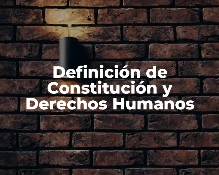 Definición de Constitución y Derechos Humanos