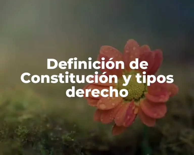 Definición de Constitución y tipos derecho