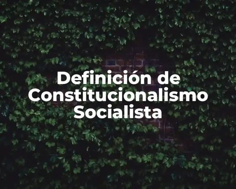 Definición de Constitucionalismo Socialista
