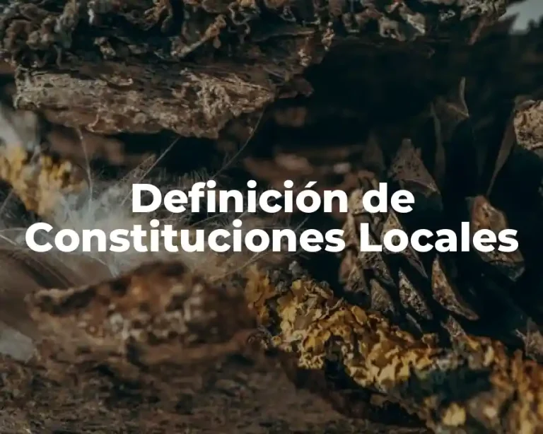 Definición de Constituciones Locales