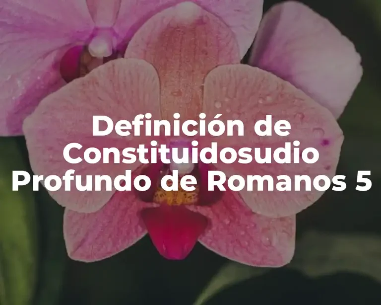 Definición de Constituidosudio Profundo de Romanos 5