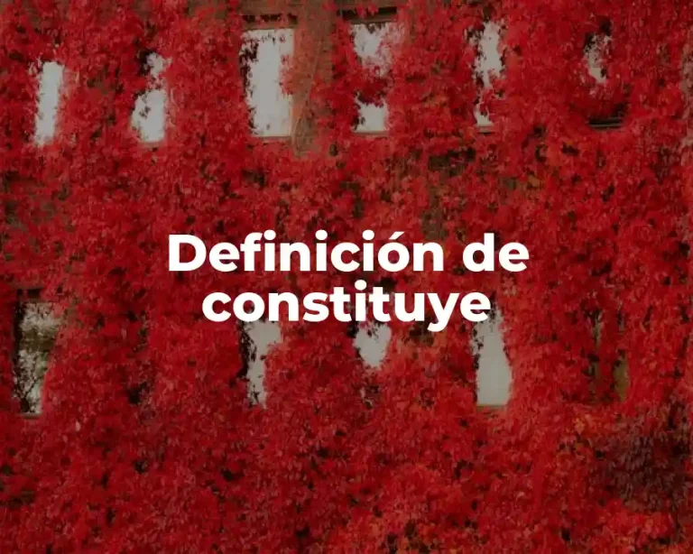 Definición de constituye
