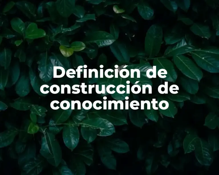 Definición de construcción de conocimiento