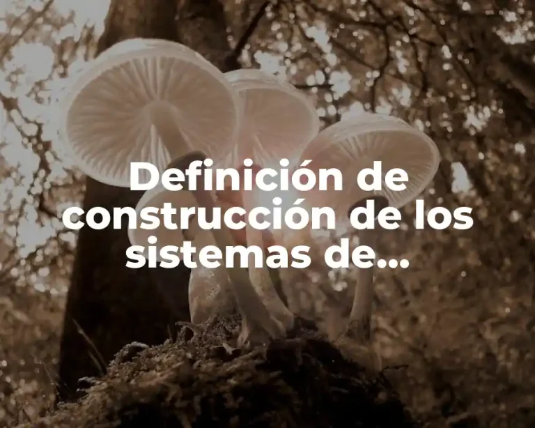 Definición de construcción de los sistemas de información