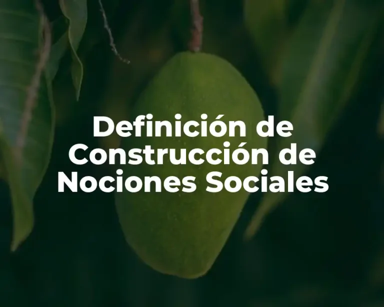 Definición de Construcción de Nociones Sociales