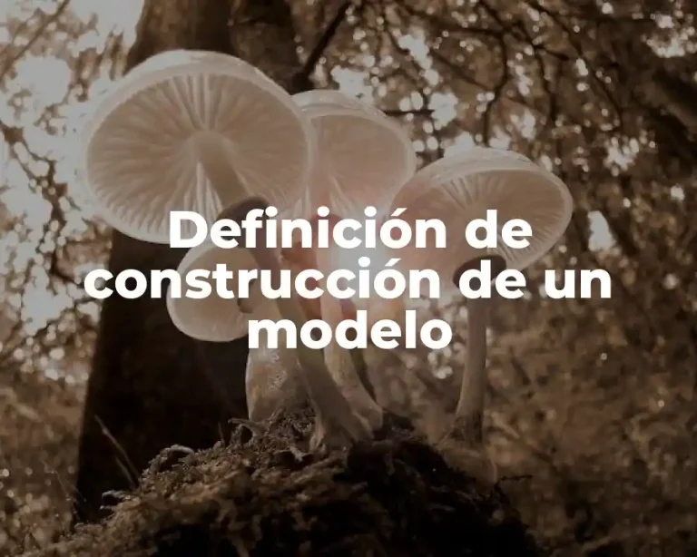 Definición de construcción de un modelo