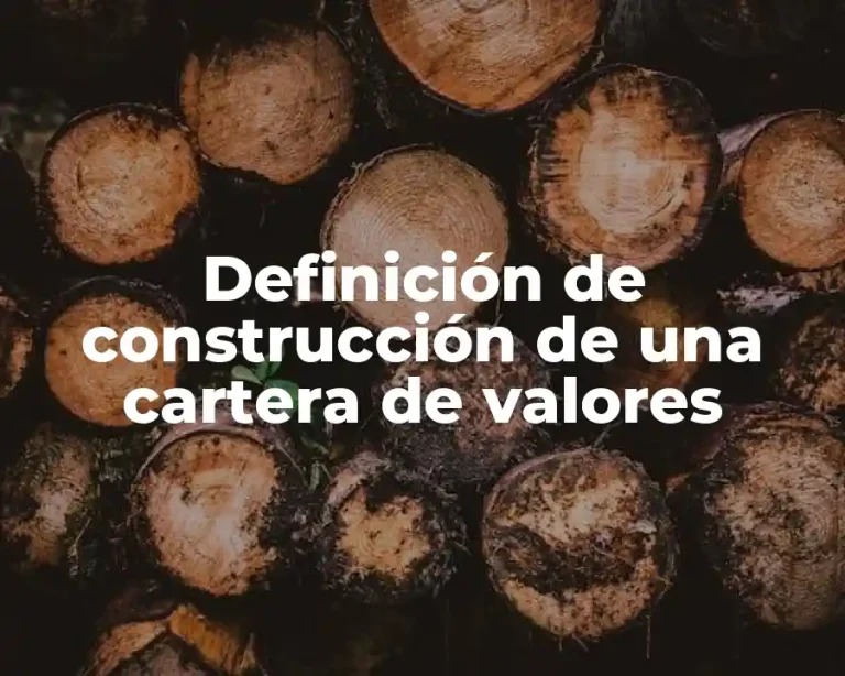 Definición de construcción de una cartera de valores